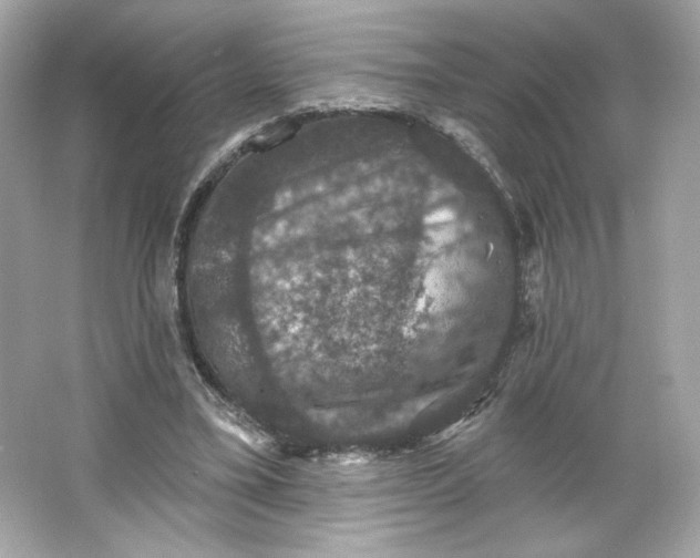 X0000066010395200603171511