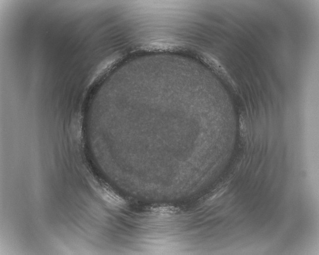 X0000066010396200603171511