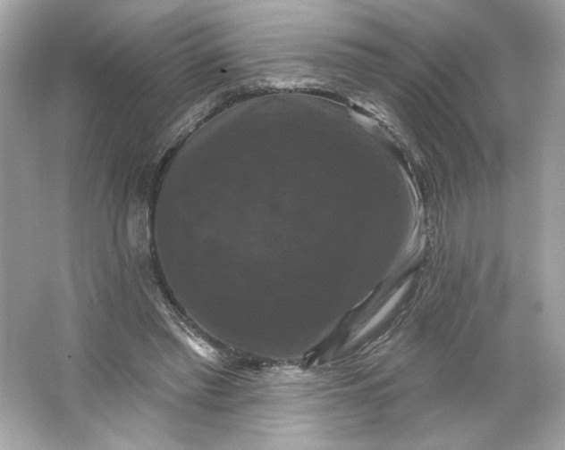 X0000066010397200603171511