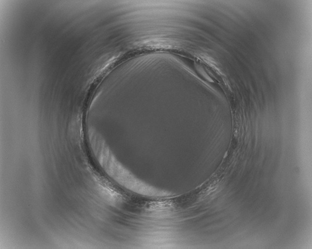 X0000066010398200603171511