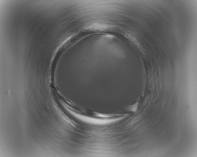 X0000066010399200603171511