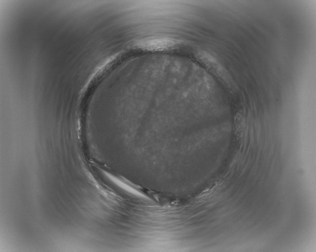 X0000066010400200603171511