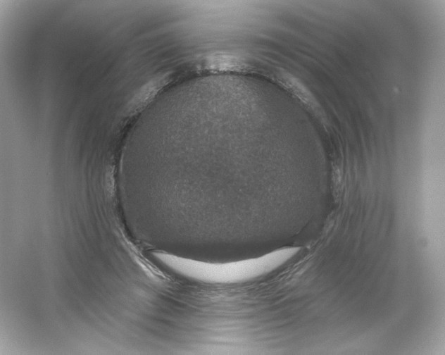 X0000066010401200603171511