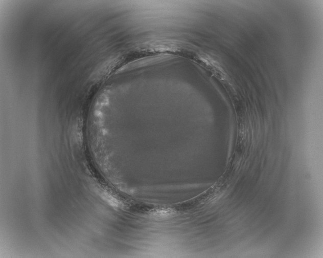 X0000066010402200603171511