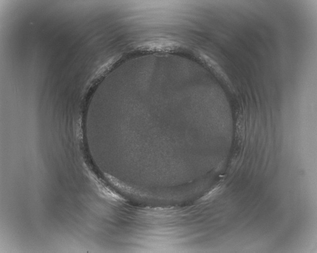 X0000066010403200603171511