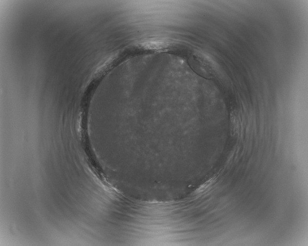 X0000066010404200603171511