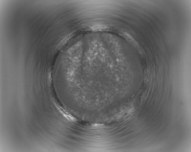 X0000066010405200603171511