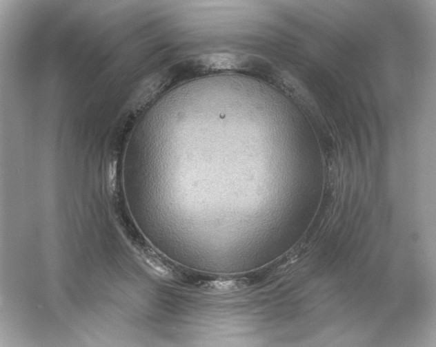 X0000066010406200603171511