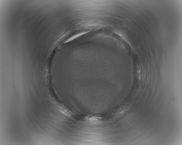 X0000066010407200603171511