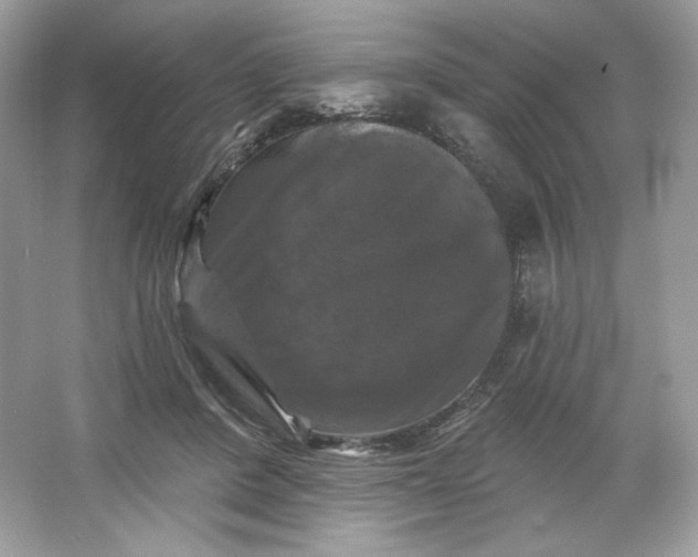 X0000066010408200603171511