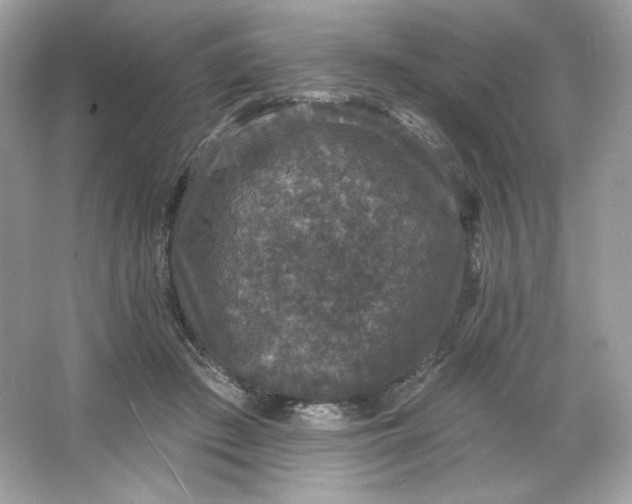 X0000066010409200603171511