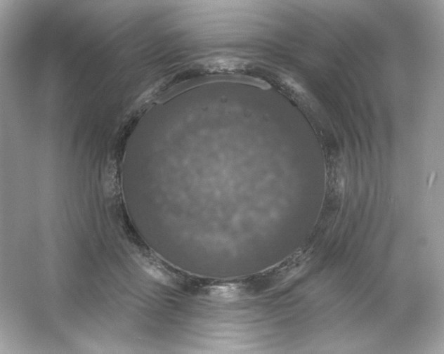 X0000066010411200603171511