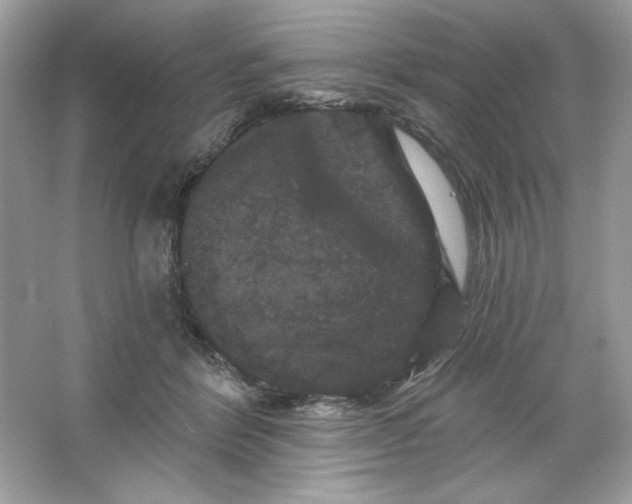 X0000066010412200603171511