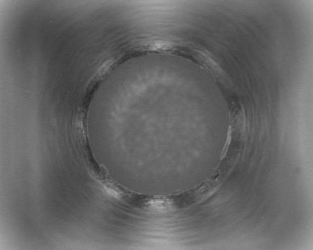 X0000066010415200603171511