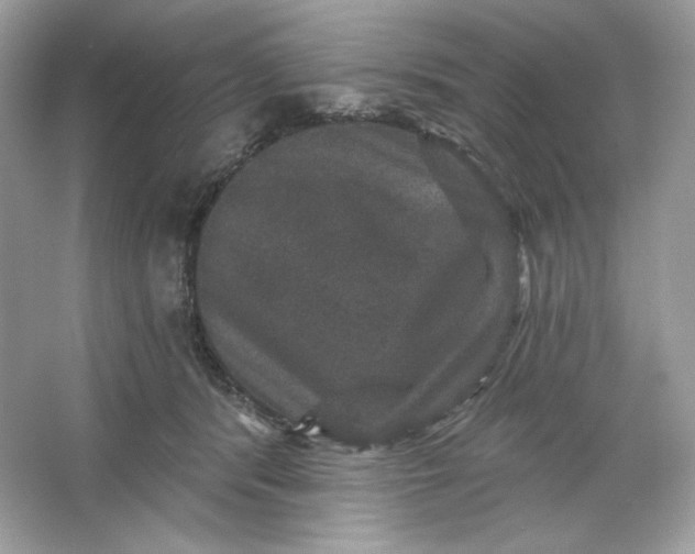 X0000066010416200603171511