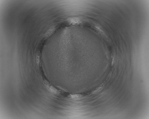 X0000066010417200603171511