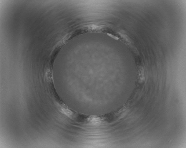 X0000066010419200603171511