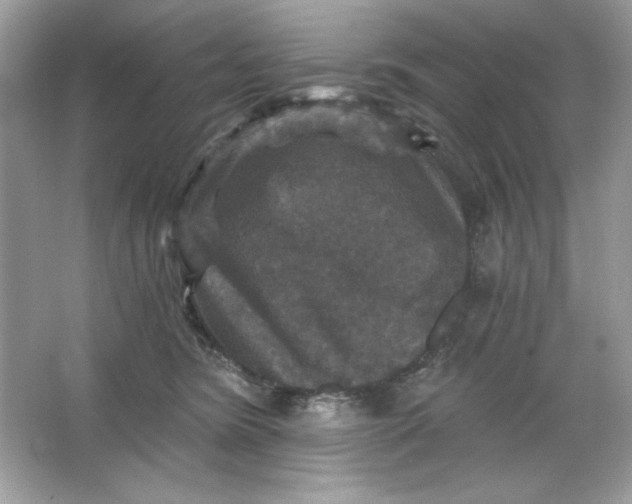 X0000066010420200603171511