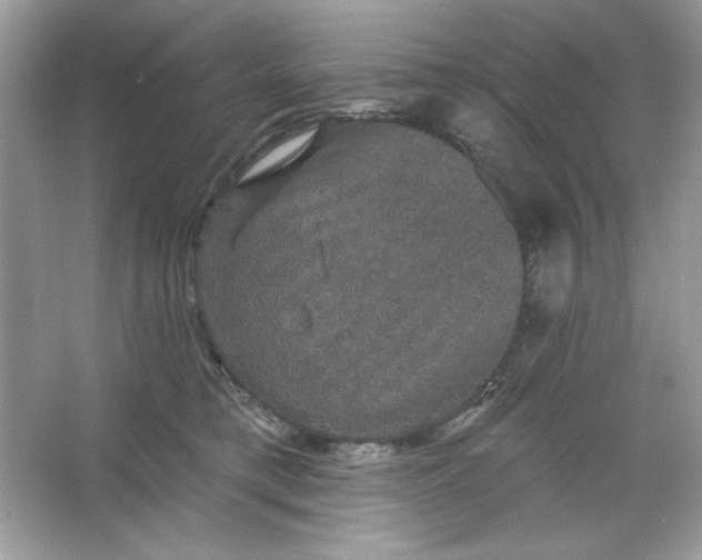 X0000066010421200603171511