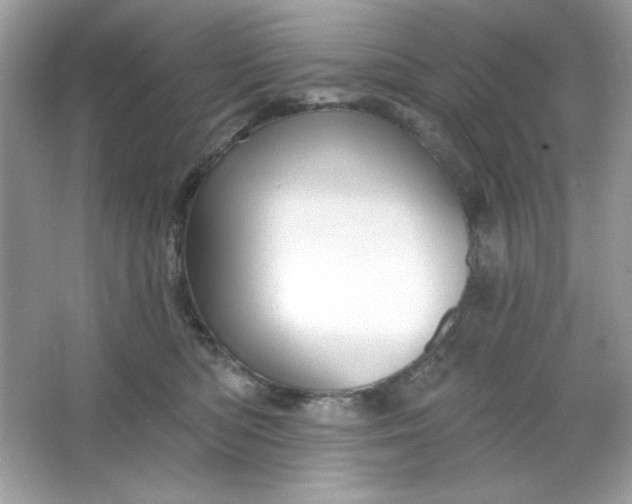 X0000066010422200603171511