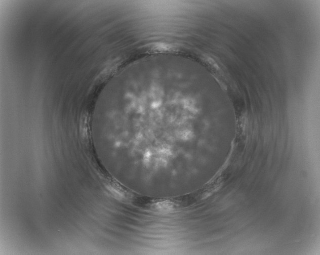 X0000066010423200603171511