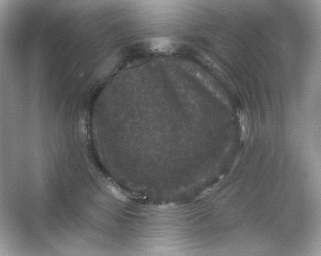 X0000066010424200603171511