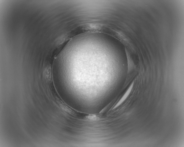 X0000066010425200603171511