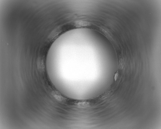 X0000066010426200603171511