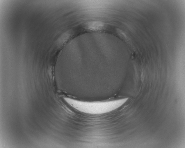 X0000066010428200603171511