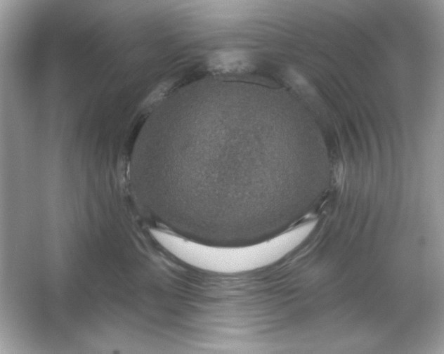 X0000066010429200603171511