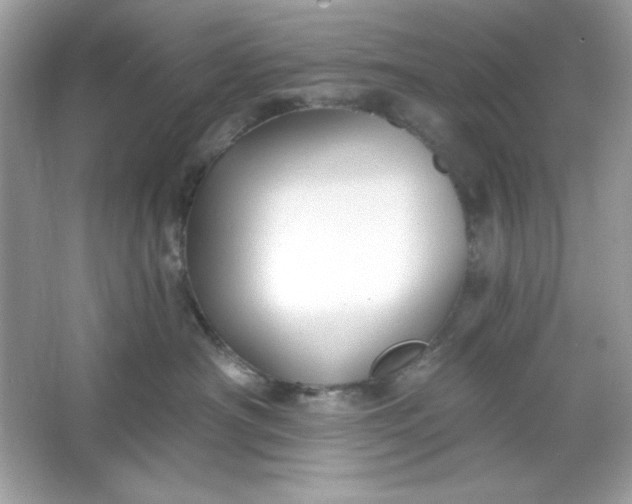 X0000066010430200603171511