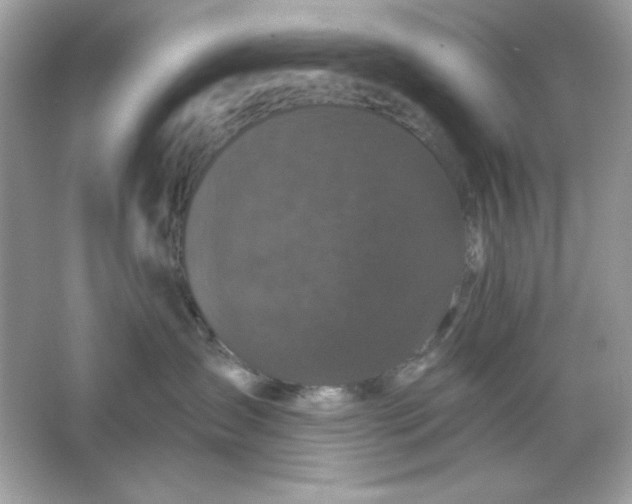 X0000066010431200603171511