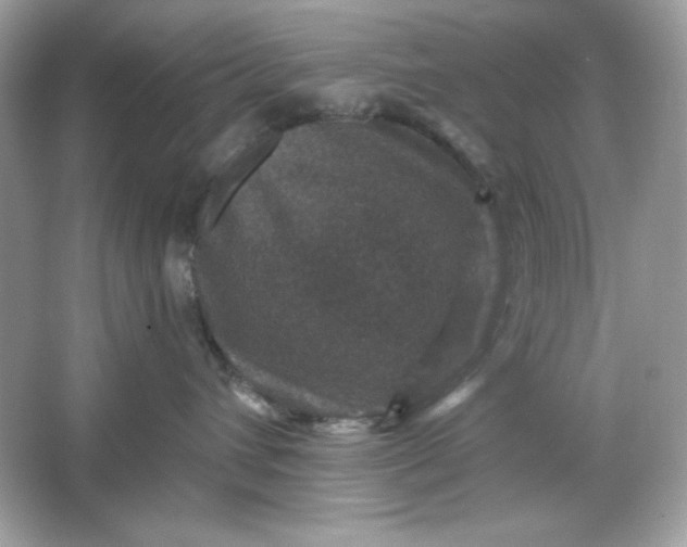 X0000066010432200603171511