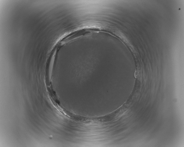 X0000066010434200603171510