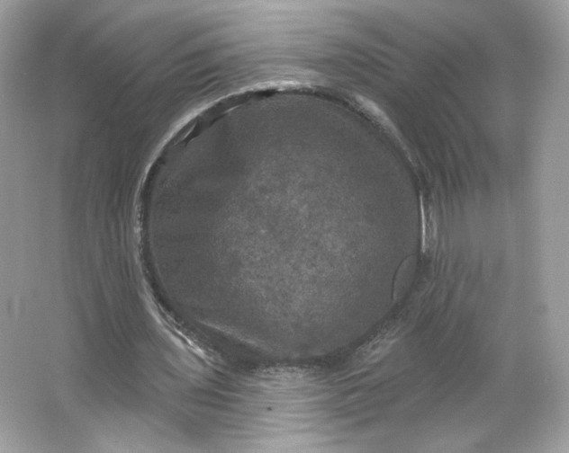 X0000066010435200603171510