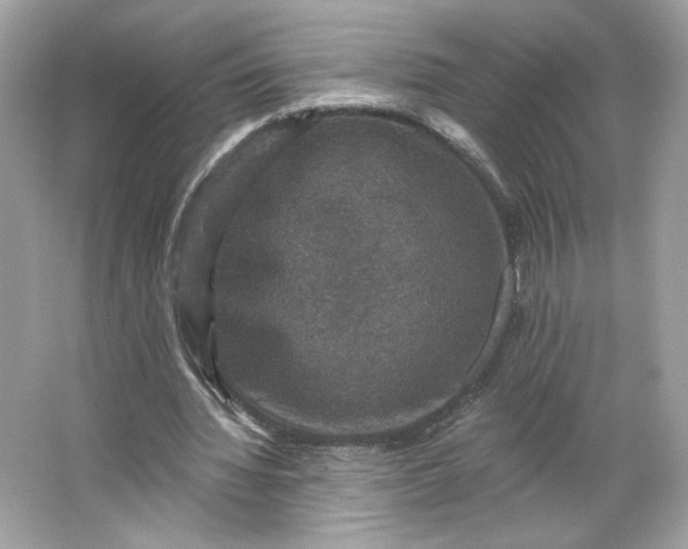 X0000066010436200603171510