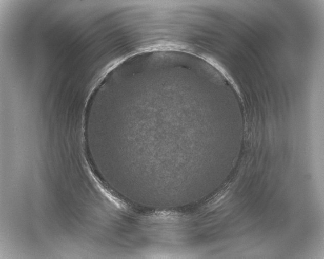 X0000066010437200603171510