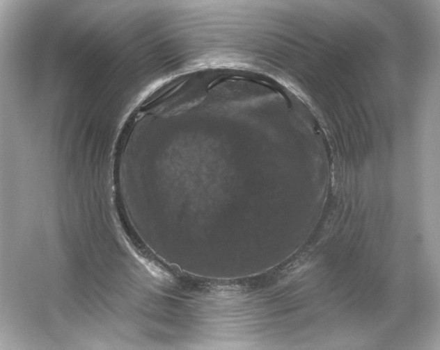 X0000066010438200603171510