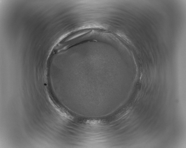 X0000066010440200603171510