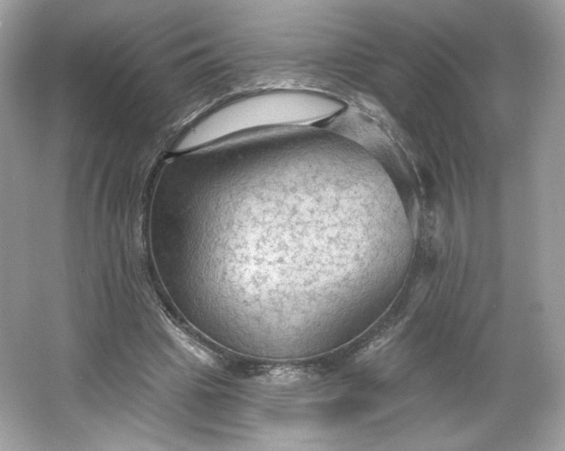 X0000066010441200603171510