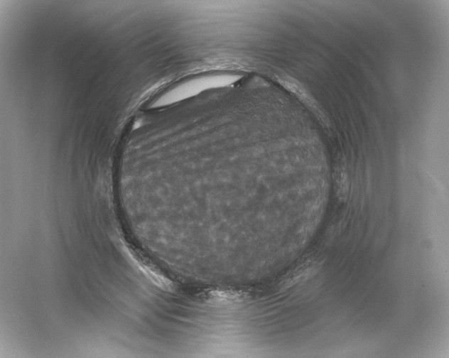 X0000066010442200603171510