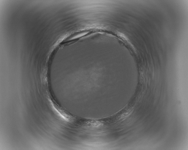 X0000066010443200603171510