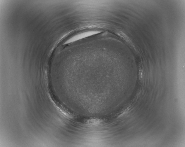 X0000066010444200603171510