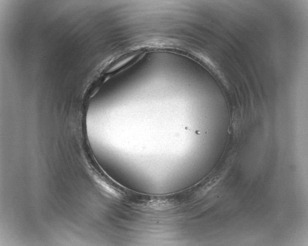 X0000066010445200603171510