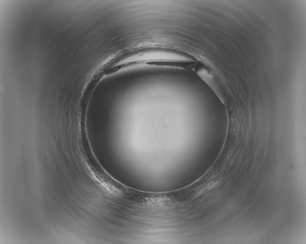 X0000066010446200603171510