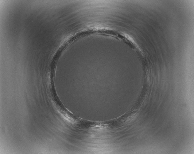 X0000066010447200603171510