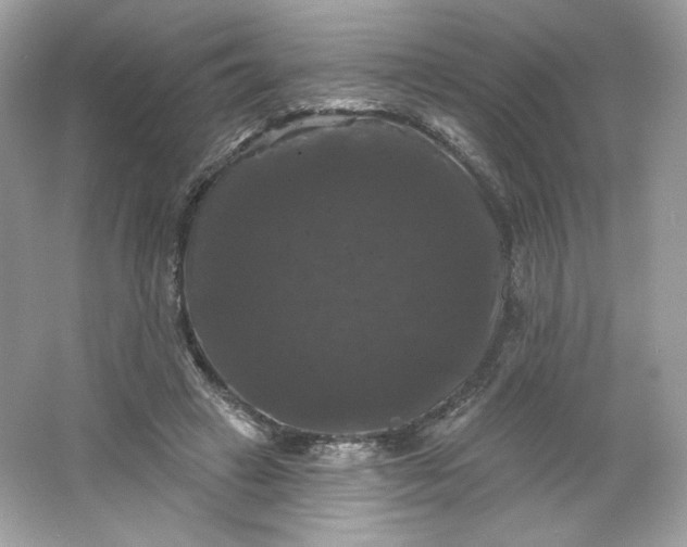 X0000066010449200603171510