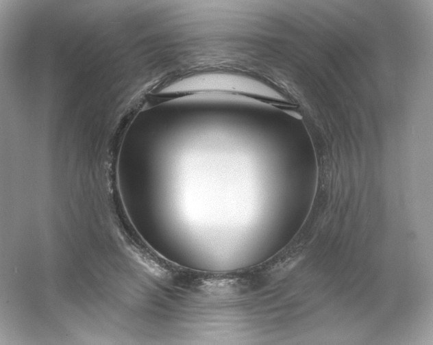 X0000066010450200603171510