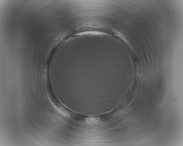 X0000066010451200603171510