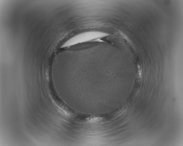 X0000066010452200603171510